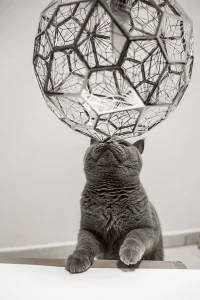 lampa srebrna coogee chrome vildevik.jpg