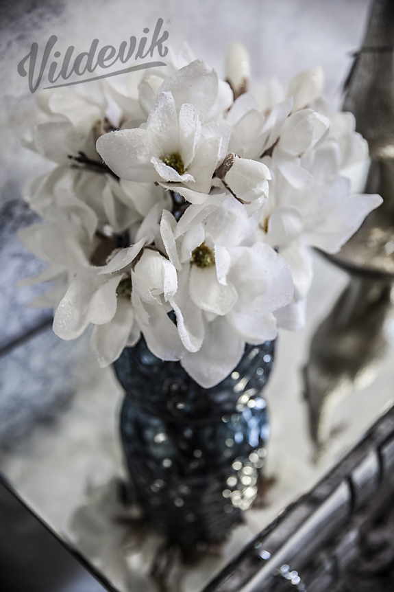 magnolia